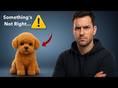 Waggy AI Dog Review – Real Product or Just Another Online Scam?