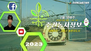 주간농사정보 2 4