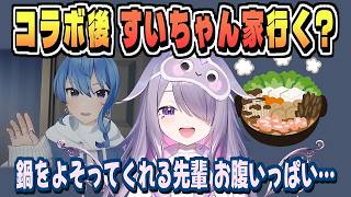 星街すいせいの家に言った話【古石ビジュー/ホロライブ/切り抜き/clip】