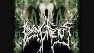 Dying Fetus - Bathe in Entrails