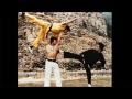 BRUCE LEE - THE HUMAN FLY - LALO SCHIFRIN