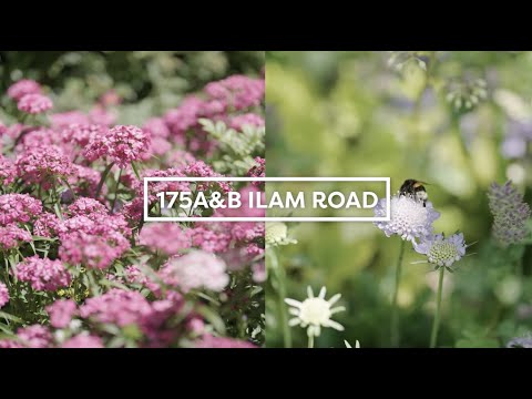 175A/B Ilam Road, Ilam, Christchurch City, Canterbury, 5房, 3浴, 独立别墅