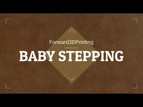 Baby Stepping: getting your first layer perfect every time