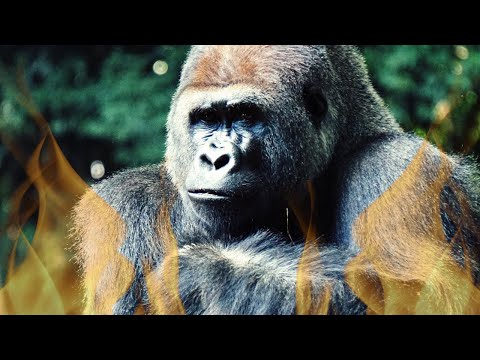 MUTANK - Abortron - Lyric Video