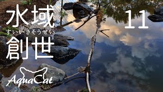 Attach YouTube