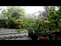 Trending Vanil Chandrika Song 💕 ft. Nature | Luca Malayalam Movie Song