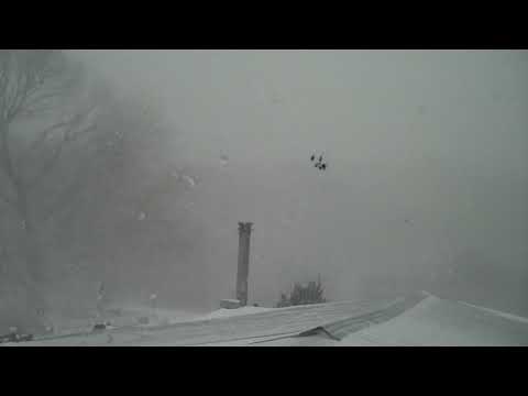 Blizzard 1/29/22 part 1