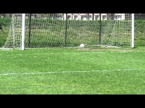 Ryan van Hoften scoort 2-0 tegen Haarsteeg D1.MOV