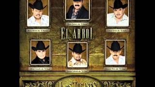 El Guicho-Los tucanes de tijuana