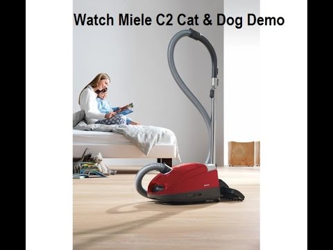 Miele Compact C2 Cat and Dog Vacuum demo