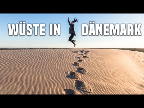 Wüste in Dänemark - die Wanderdüne Råbjerg Mile in der Nähe von Skagen