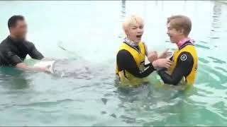 Download lagu BTS (방탄 소년단) Jin getting scared by a fish Saipan Summer Package mp3