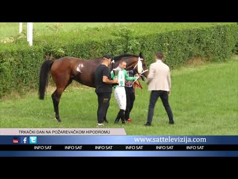 TRKAČKI DAN NA POŽAREVAČKOM HIPODROMU