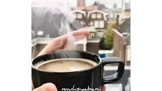 Download lagu Jomblo. Video Pendek Story WA / Status WA mp3