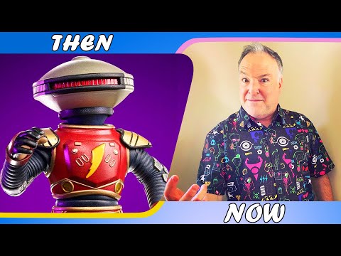 Mighty Morphin Power Rangers 1993 Cast Then and Now 2022 How They Changed