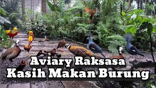 Download lagu Feeding Birds in the Aviary, an Amazing Aviary, Lots of Beautiful Animals Here mp3 Download lagu Feeding Birds in the Aviary, an Amazing Aviary, Lots of Beautiful Animals Here mp3