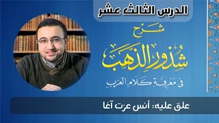 صورة الدرس الثالث عشر من شرح شذور الذهب - أنس عزت آغا