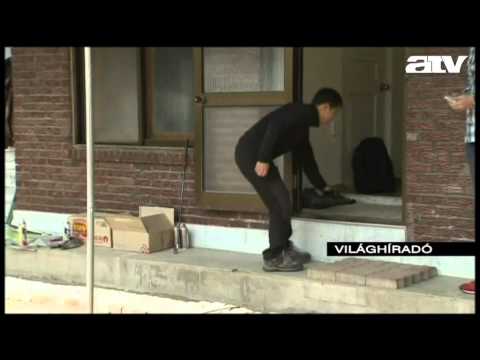 Vissza a természetbe