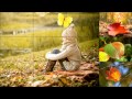Детская песня про осень - Осень в лесу 