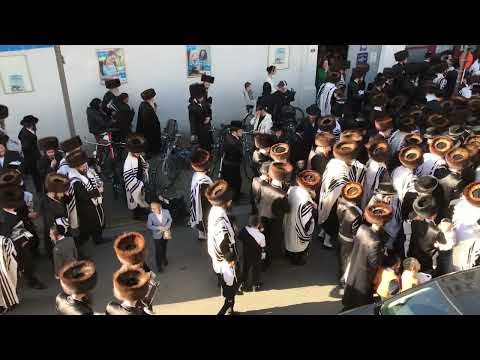 Simchat Torah Antwerp Oct 18 2022 Filmed with pleasure by Michael Cohen