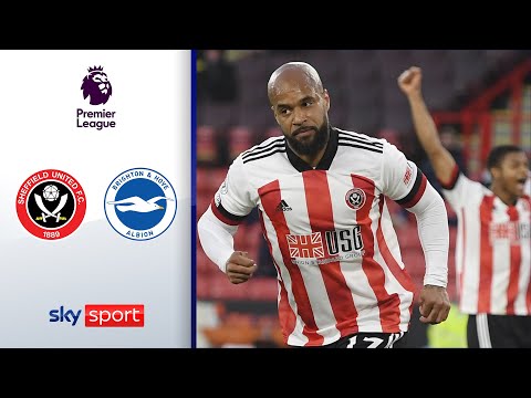 Big Points im Abstiegskampf | Sheffield - Brighton & Hove Albion 1:0 | Highlights - Premier League