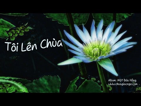 Tôi lên chùa