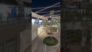 #reminisce #cruise #adventure #funtimes #vacation #travel #travelphotography #vlog #blog