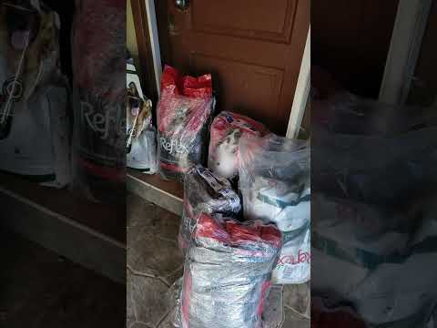 No Dog Should Go Hungry 🐶💛 Inside Our Kibble Club Feeding Program