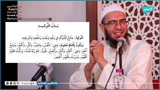 صورة التوكيد والبدل | 13 شرح الأجرومية | د. أمين قادري