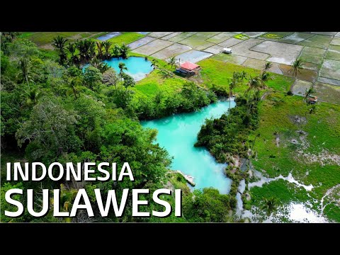 Exploring North Sulawesi | Indonesia