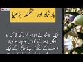Urdu kahani | Badshah aur aqalmand burhya | Faz Suno