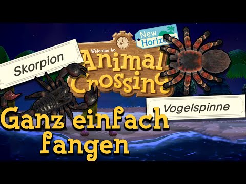 Vogelspinne & Skorpion ganz einfach fangen - Animal Crossing: New Horizons Tipps & Tricks