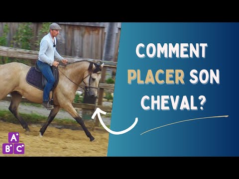 ⭐ Comment mettre son cheval en main  ⭐