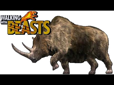 Walking With Beasts [2001] - Woolly Rhinoceros Screen Time