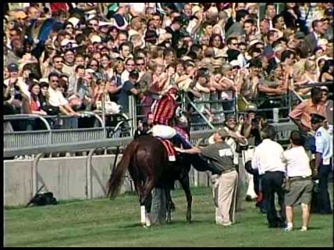 2003 | Wando wins the Breeder's Stakes