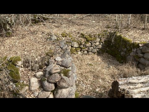ÄNNU en ÖDETOMT mellan HASSELSTAD och KARLSNÄS och MÖLJERYD - 210326 - IPhone SE - Slow Meadow EDIT