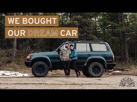 We bought our DREAM car | 1994 80 Series Toyota Landcruiser Camper Build Project