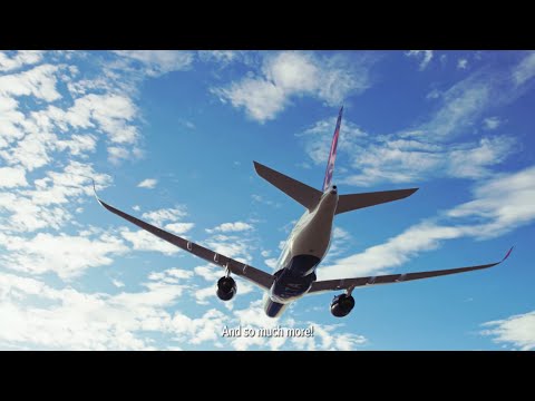 Delta Job Preview – Customer Experience Specialist in Singapore