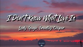I Don&#39;t Know What Love Is (Lyrics) - Lady Gaga, Bradley Cooper (A Star Is Born Soundtrack)