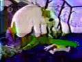 EL OSO BARNEY Y LOS PERROS