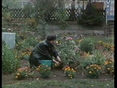 Mach mit - Der Umwelt zuliebe - 1986