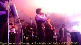 La mafia del sabor en tapi