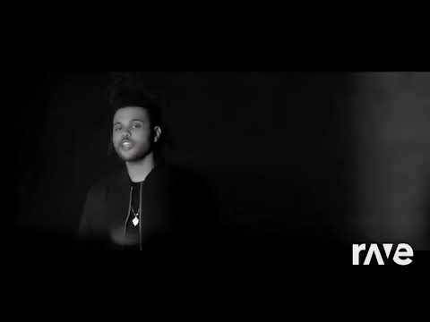 Ravedj Dallalto - Rkomi & Love Me Harder Down ft. Dardust, The Weekend • | RaveDj