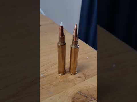 NRA Gun of the Week - Nosler M48 Liberty Rifle
