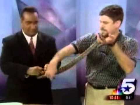 Live Television Gone Wrong - Funny Animals vs Professional Humans