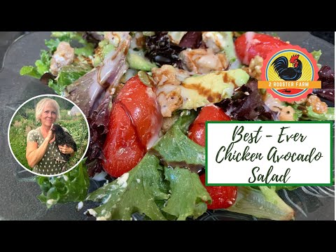 Best Ever Chicken Avocado Salad β· Simple, Easy and delicious!