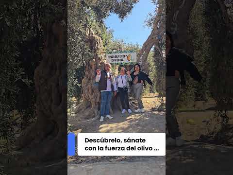 Turismo en ilo #ilo #aceitunas #aceitedeoliva #peru