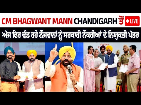 Punjab CM Bhagwant Mann distributes appointment letters of government jobs to youth today