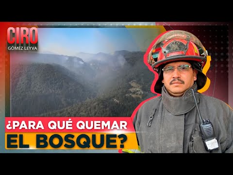 Talamontes estarían provocando incendios forestales en Jilotzingo, Edomex | Ciro
