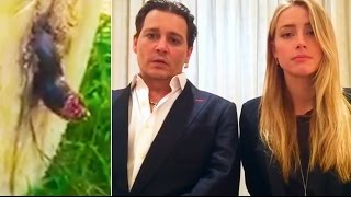 Ozzy Man Reviews: WTF Happened in April 2016